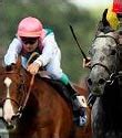 ascot gold cup betting odds